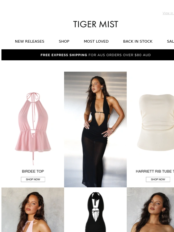 Tiger Mist - NEW STUDIO TM | ONLINE NOW