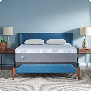 Sealy Dreamlife 12 Hybrid Mattress-in-a-Box