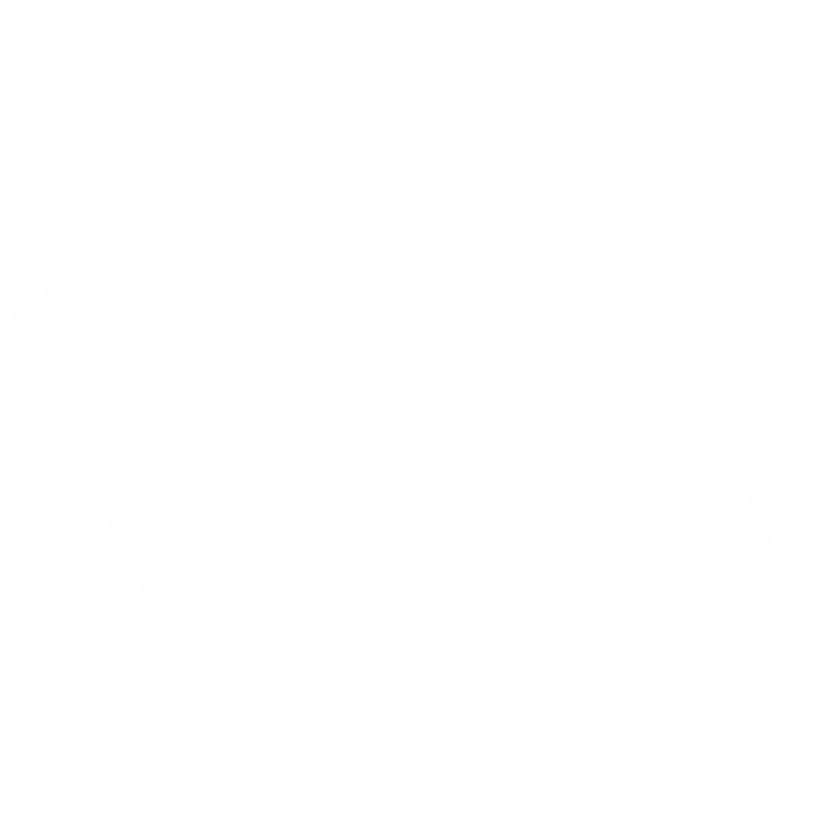 Rossi USA