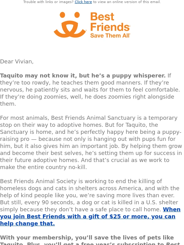Best Friends - Read all about it: Meet Taquito,puppy whisperer