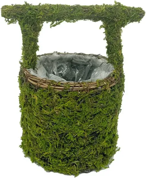 Ashland 7.5" Decorative Moss Water Well