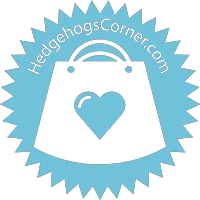 eBay Coupon