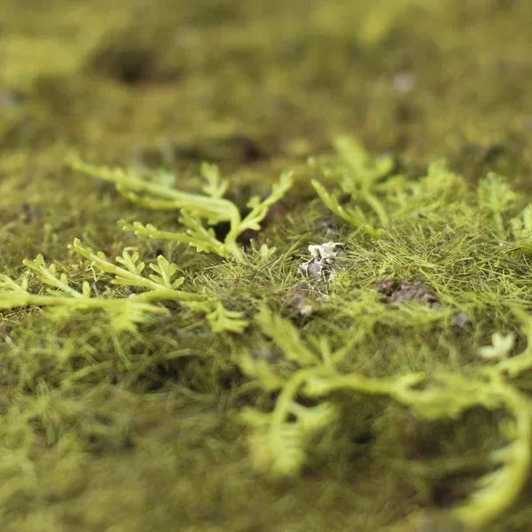 Factory Direct Craft Artificial Moss Sheet