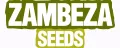 Zambeza