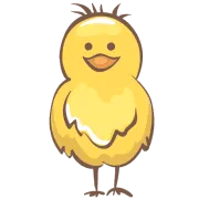Chickens And More