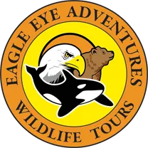 Eagle Eye Adventures