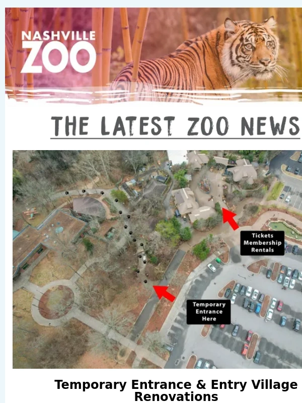Nashville Zoo - Your February Zoo News ?