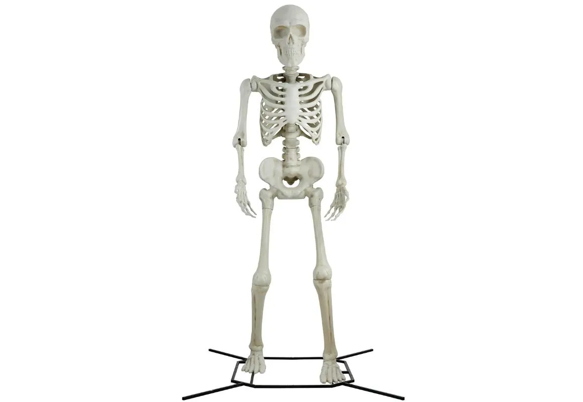Way To Celebrate 10' Skeleton