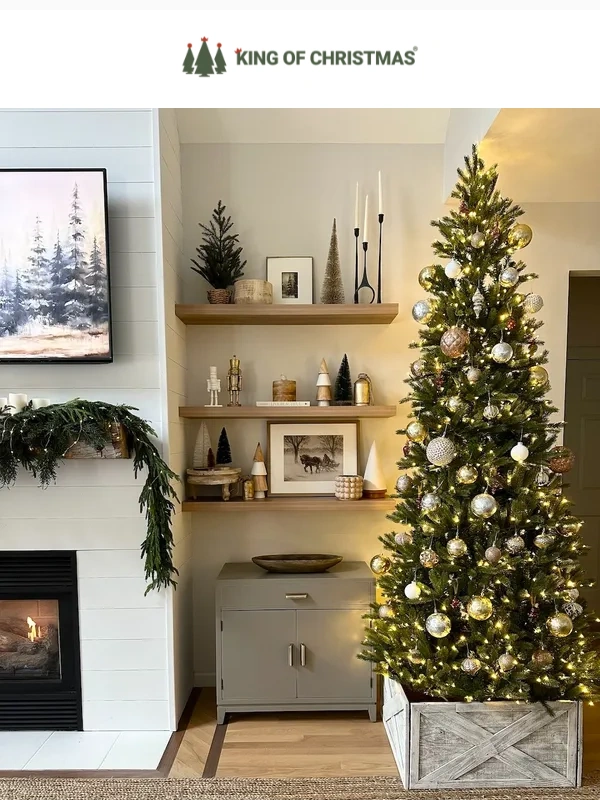 king of christmas - Year-Round Ideas for Your Christmas Tree ?