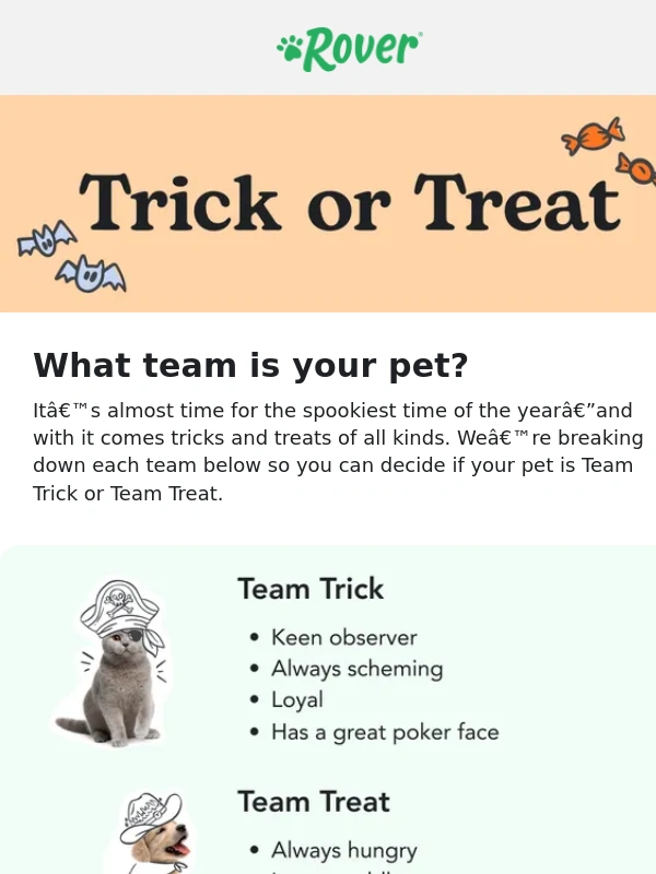 Rover - Is your pet Team Trick or Team Treat? ?