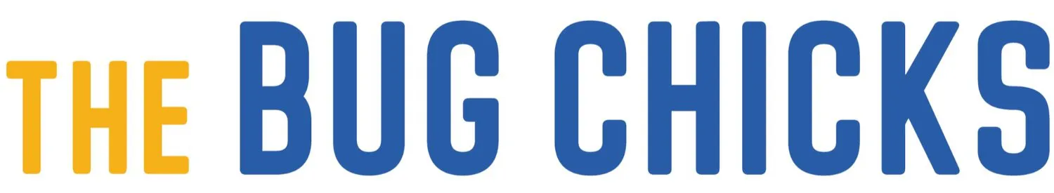 eBay Coupon