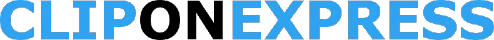 eBay Coupon