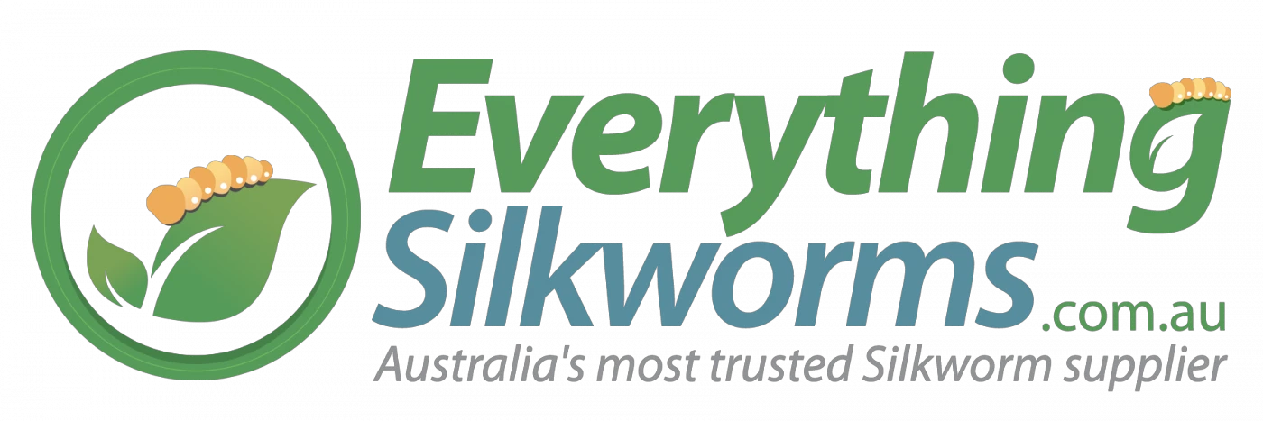 Everything Silkworms