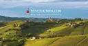 Winetourism