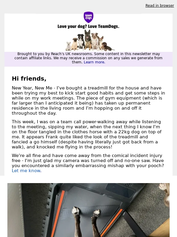 Pets at Home - ?‍♂️Dog fitness tracker under £30 ✈️ Jetsetting pug that's taken over 250 flights ?