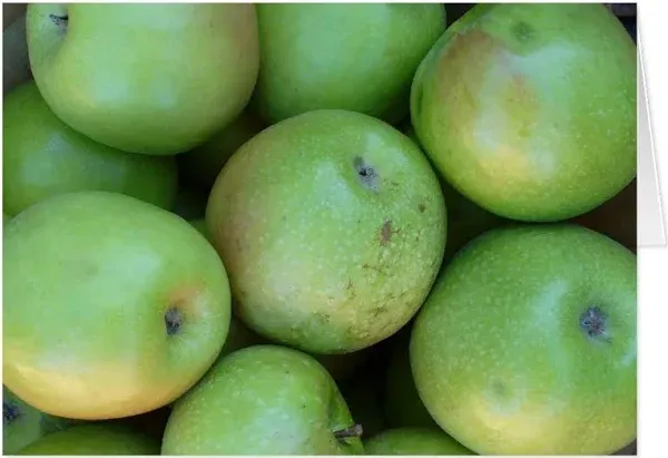 Granny Smith