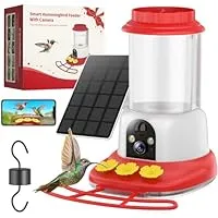 Solar Hummingbird Feeder with Camera Only $79.99 Shipped Free (Reg. $149.99) – Watch Up Close
