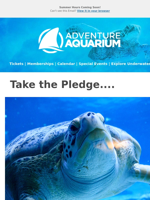 Adventure Aquarium - Take The Pledge To Save Turtles ♻️??