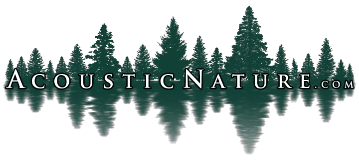 Acoustic Nature