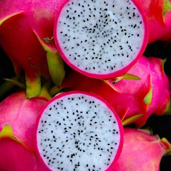 White Dragonfruit Large (10lbs-12lbs)