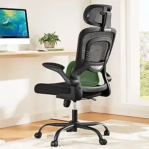 Marsail Ergonomic Office High Back Desk Chair with Adjustable Lumbar Support, 2D Headrest & Flip-Up Armrests (Black)
