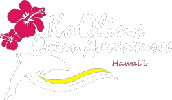 Ko Olina Ocean Adventures