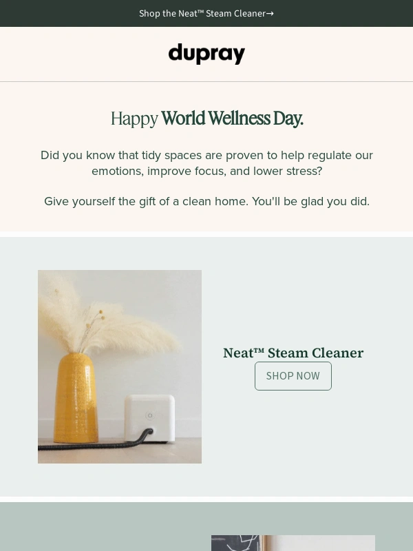 Dupray - A clean space is a wellness practice ?