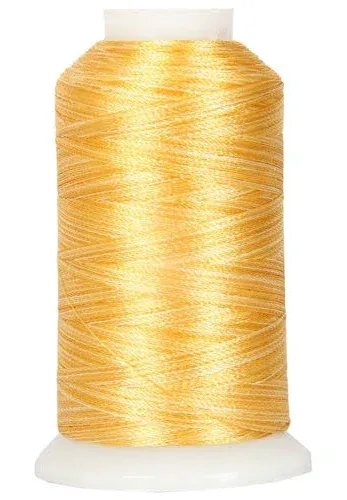 Multicolor Polyester Embroidery Thread No. 15 Variegated Sunray