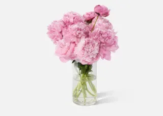 The Peony