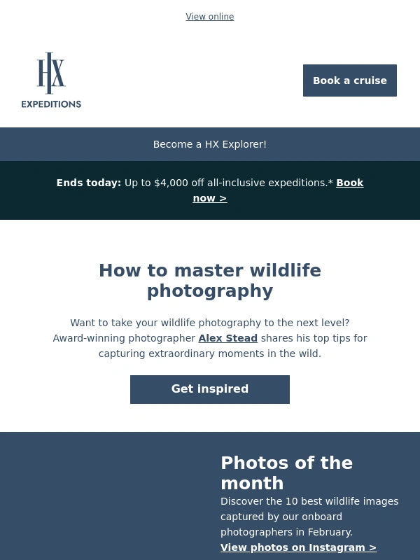 Hurtigruten - The Navigator: How to take great wildlife photos