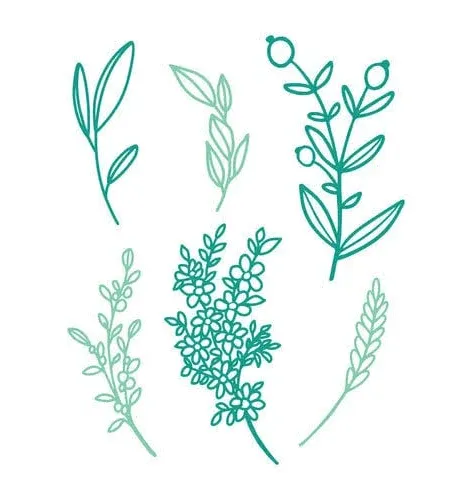 Scrapbook.com Sprigs Decorative Die Set