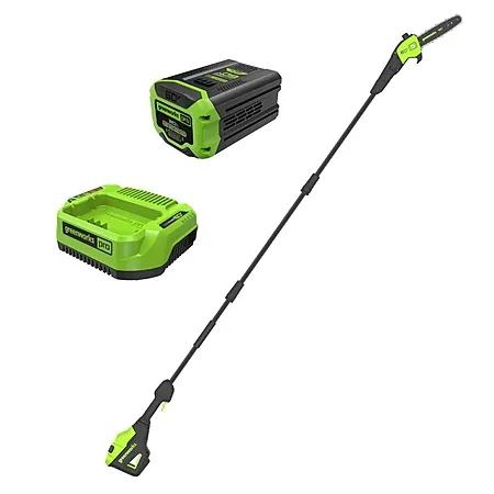 Greenworks 60V 10" Cordless Pole Saw w/ 2.0Ah Battery & Charger $170.09 + Free Shipping