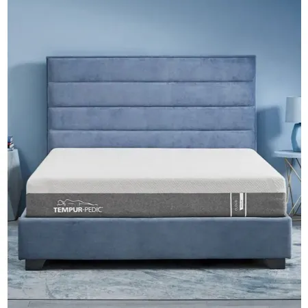 TEMPUR-Cloud, Queen