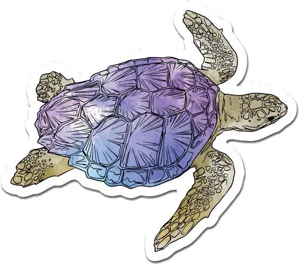 MightySkins Turtle 3 Laptop Sticker Decal