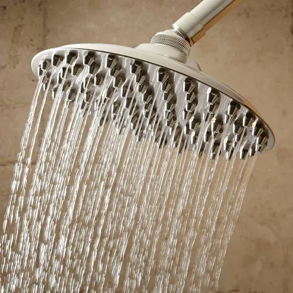Signature Hardware Bostonian 1.8 GPM Single Function Rain Shower Head