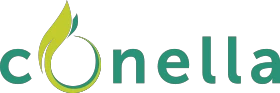 eBay Coupon