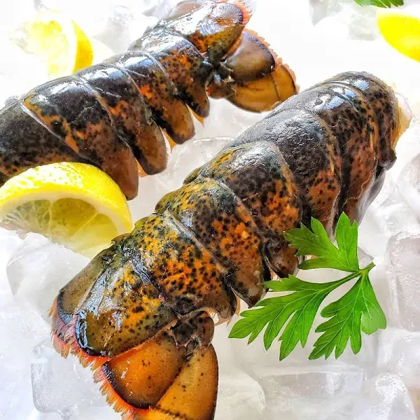 Maine Cold Water Lobster Tails