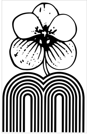 Motes Orchids