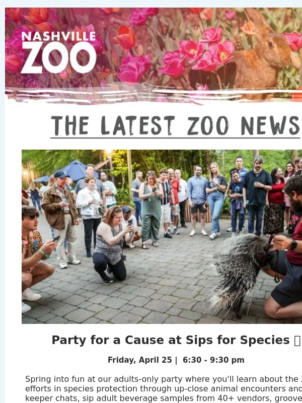 Nashville Zoo - Spring Into Zoo Fun ? ?