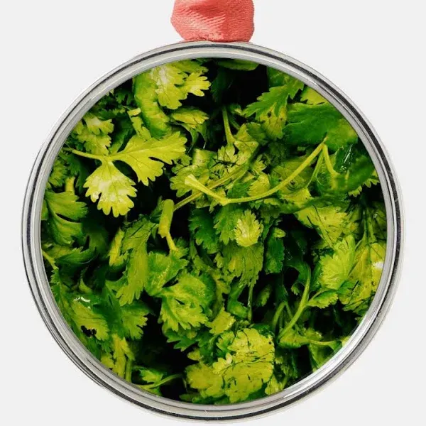 Cilantro / Coriander Leaves