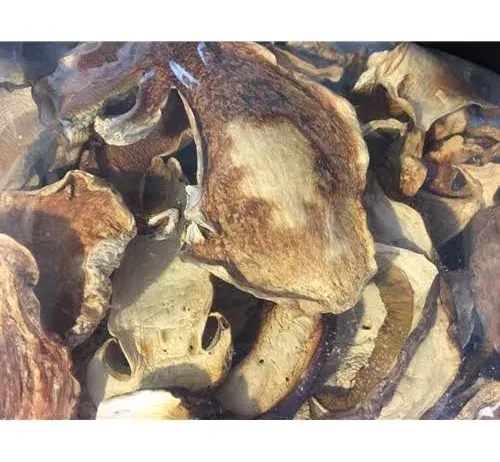 USA Wild Porcini Mushrooms