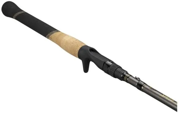 Custom Pro Casting Rod