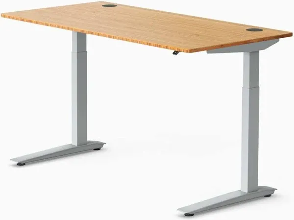 Design Within Reach Jarvis Standing Desk