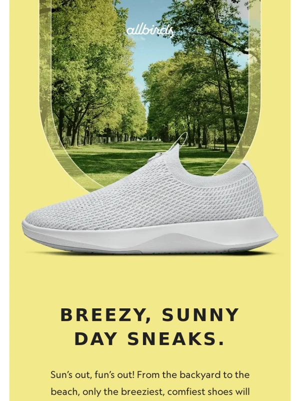 Allbirds - Comfy,Cookout-Ready Sneaks ?
