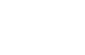 Incognito Concealment