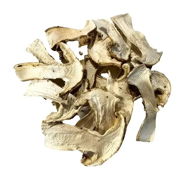 Dried Wild Matsutakes