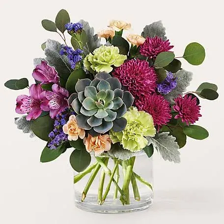 Proflowers Botanical Dream Bouquet