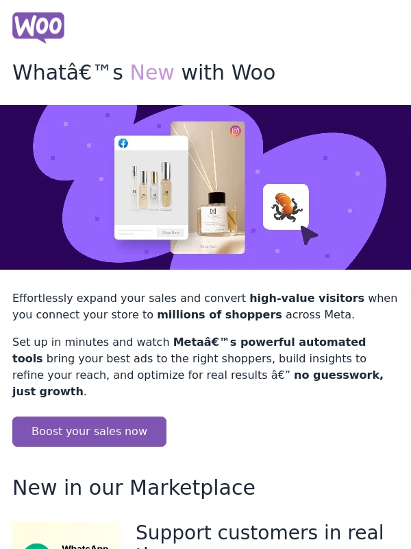 WooCommerce - Turn clicks into customers on Facebook and Instagram