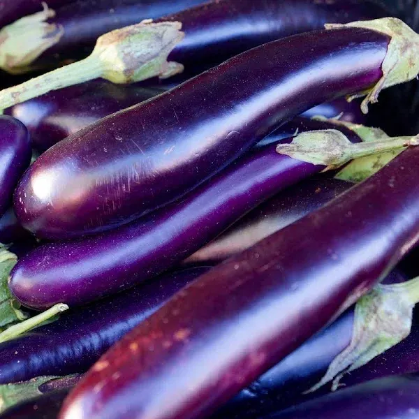 Organic Eggplant Seeds