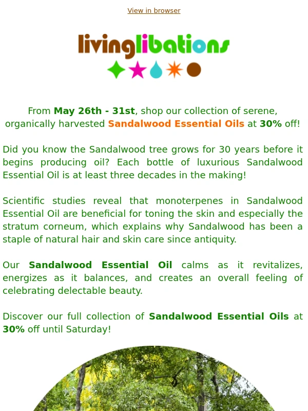 Living Libations - Sandalwood Celebration! Save 30% On All Sandalwood Essential Oils